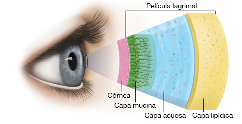 Ojos secos en invierno: Causas, tratamiento y prevención