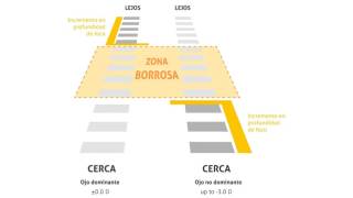 monovision convencional
