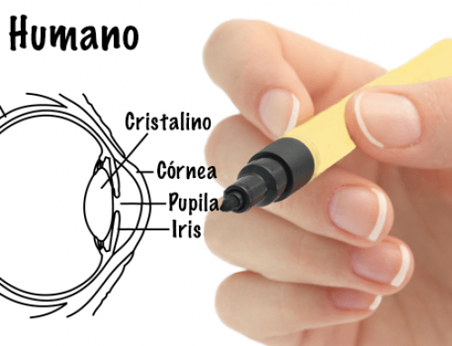 Porcentaje de tejido alterado en la evaluación del riesgo de ectasia post-LASIK