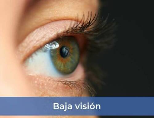 Baja visión